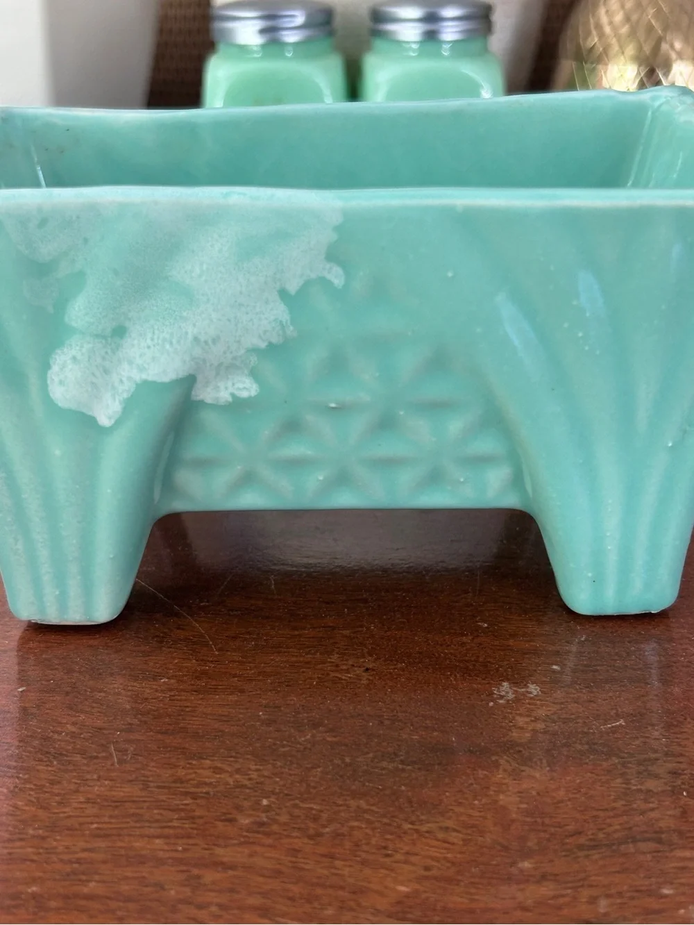 Vintage marked succulents vtg